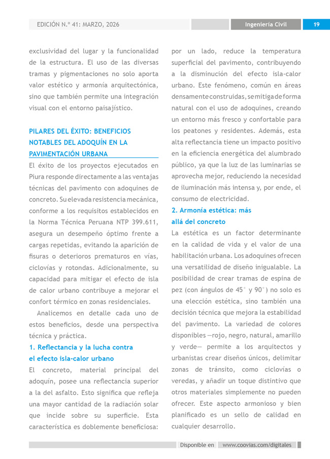 Construyendo Obras & Vías P19