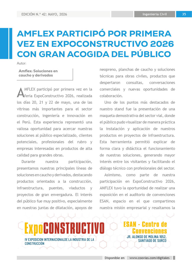 Construyendo Obras & Vías P35