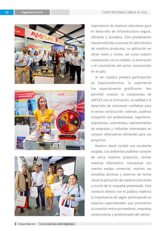 Construyendo Obras & Vías P36