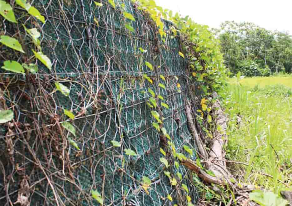 Muro Terramesh Verde para la carretera 3