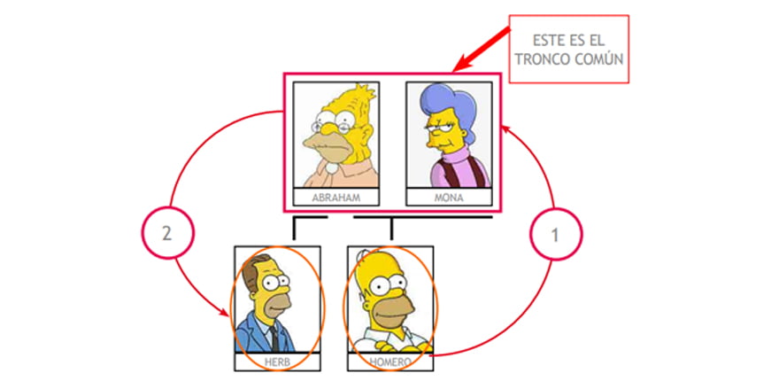 impedimentos tronco comun simpsons