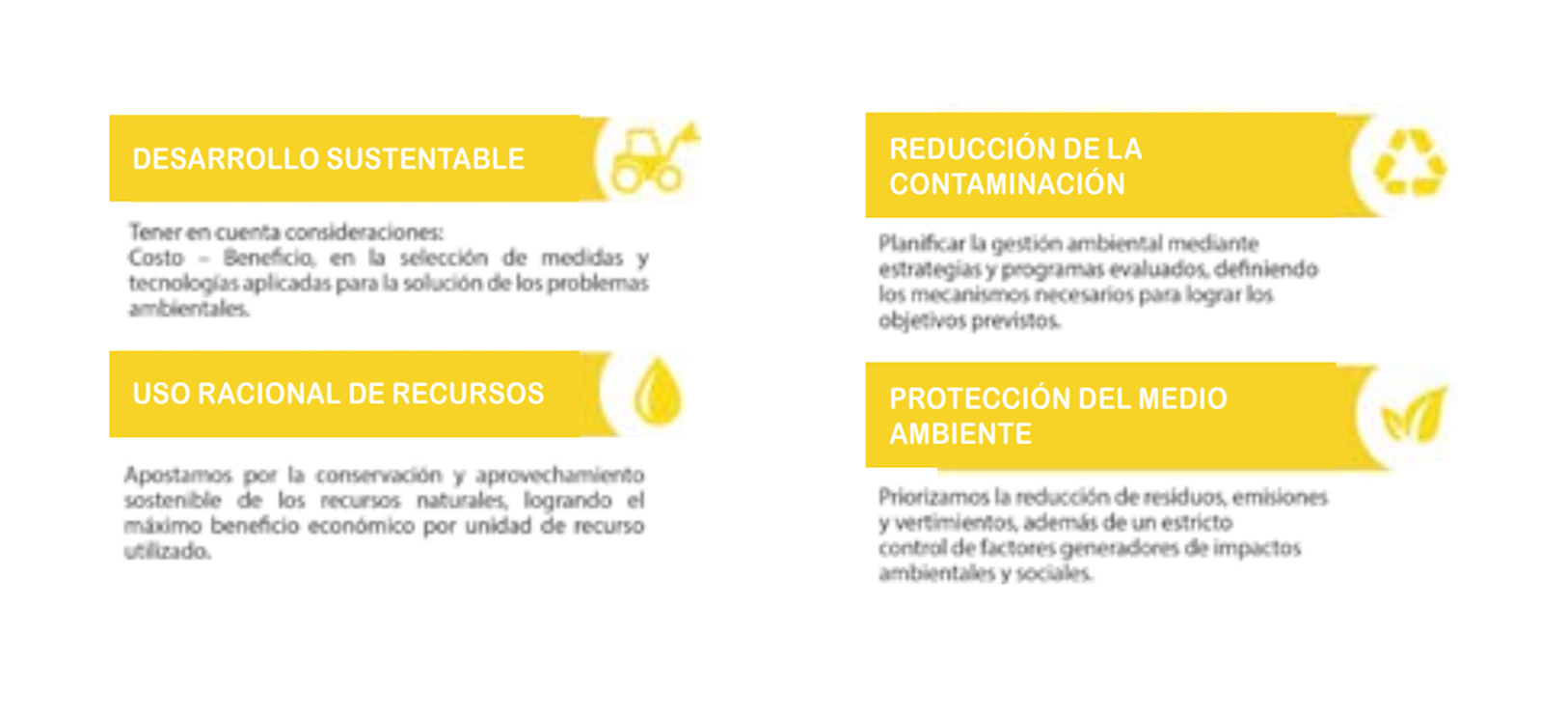 mpm responsabilidad