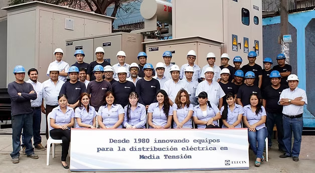 imagen representativa de ELECIN