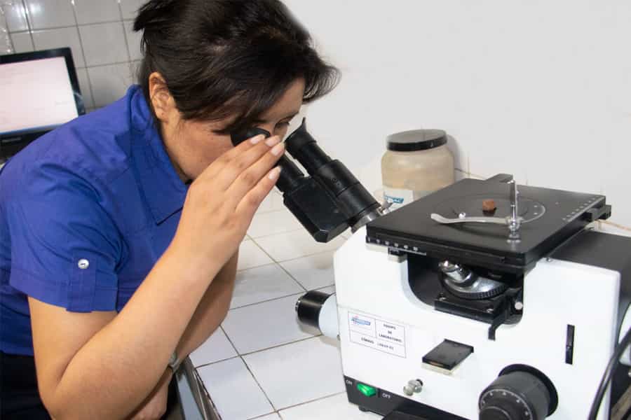SERVICIO DE LABORATORIO