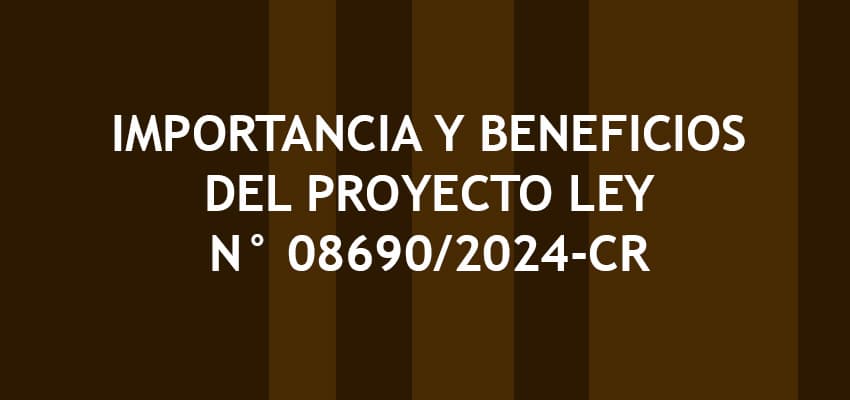 explicación de la importancia y beneficios del proyecto de ley 08690/2024-cr