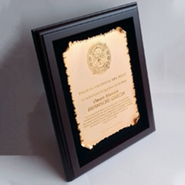 placa de premiación