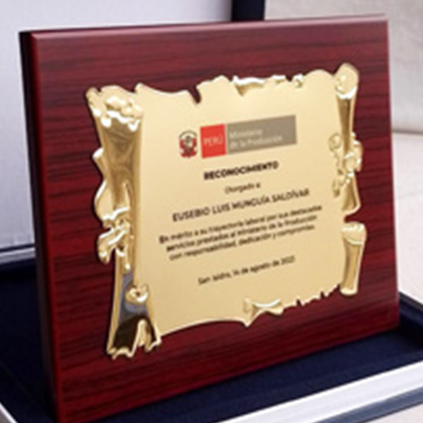 placa de premiación
