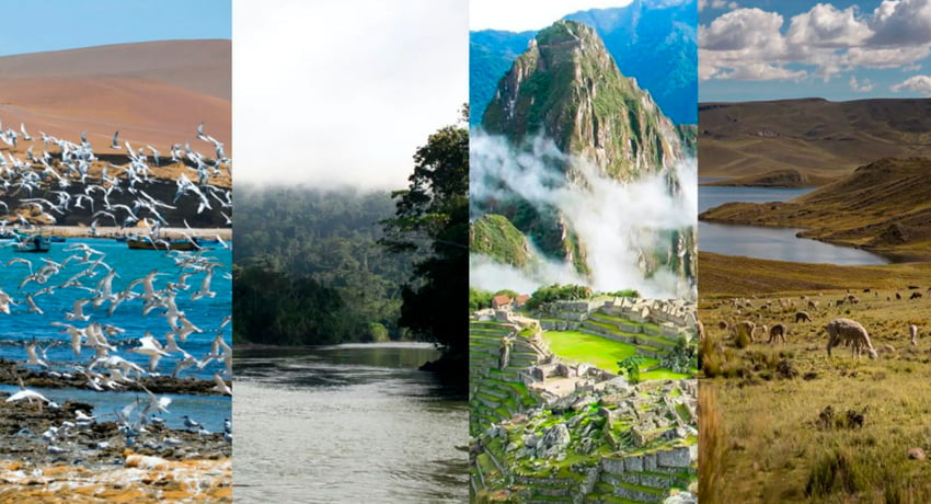 EL PERÚ COMO POTENCIA ECOLÓGICA GLOBAL: BIODIVERSIDAD, ECONOMÍA RENOVABLE Y FORTALECIMIENTO MONETARIO EN EL MARCO DE LA ECONOMÍA ECOLÓGICA Y LA ECONOMÍA CIRCULAR