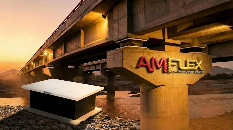 imagen representativa de AMFLEX